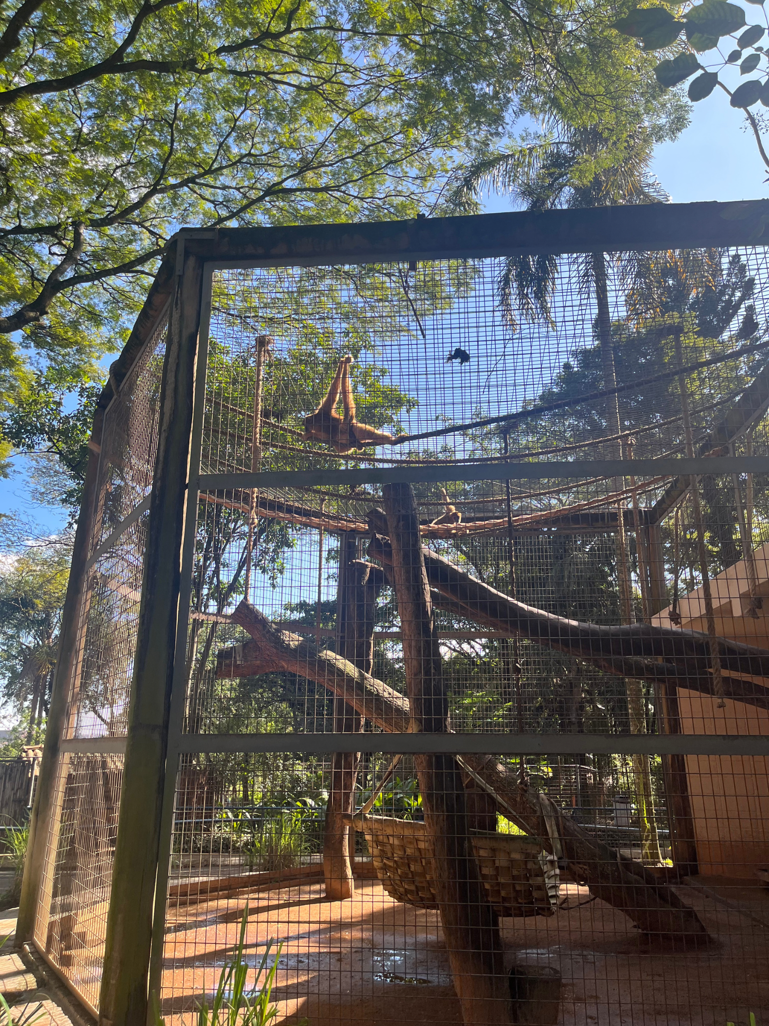 Imagem de referência de Parque Zoológico Municipal Quinzinho de Barros, descrito nos dados abertos como zoológico do estado de São Paulo, Brasil