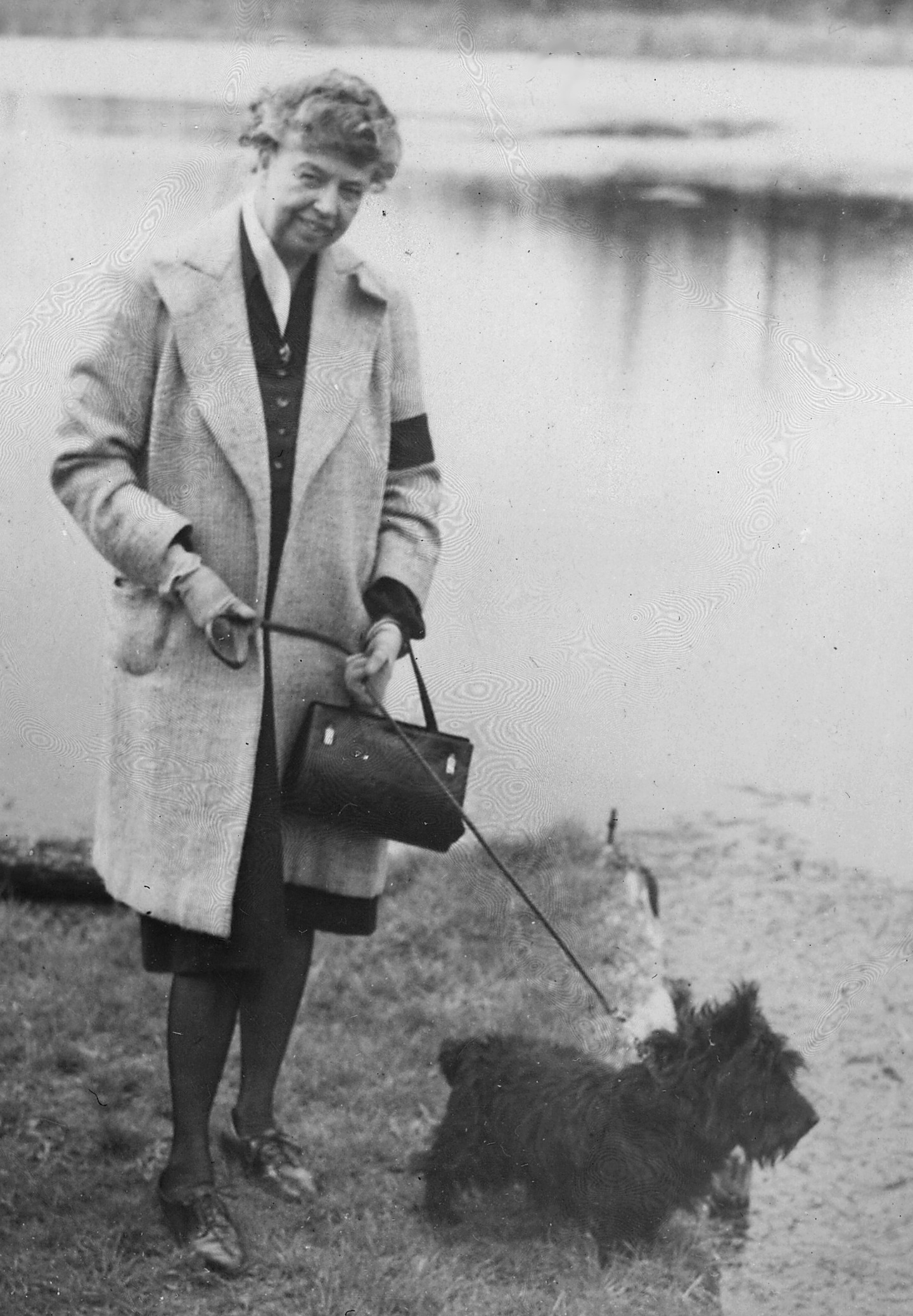 Imagem de referência de Fala, descrito nos dados abertos como cão (terrier escocês) do proprietário Franklin D. Roosevelt