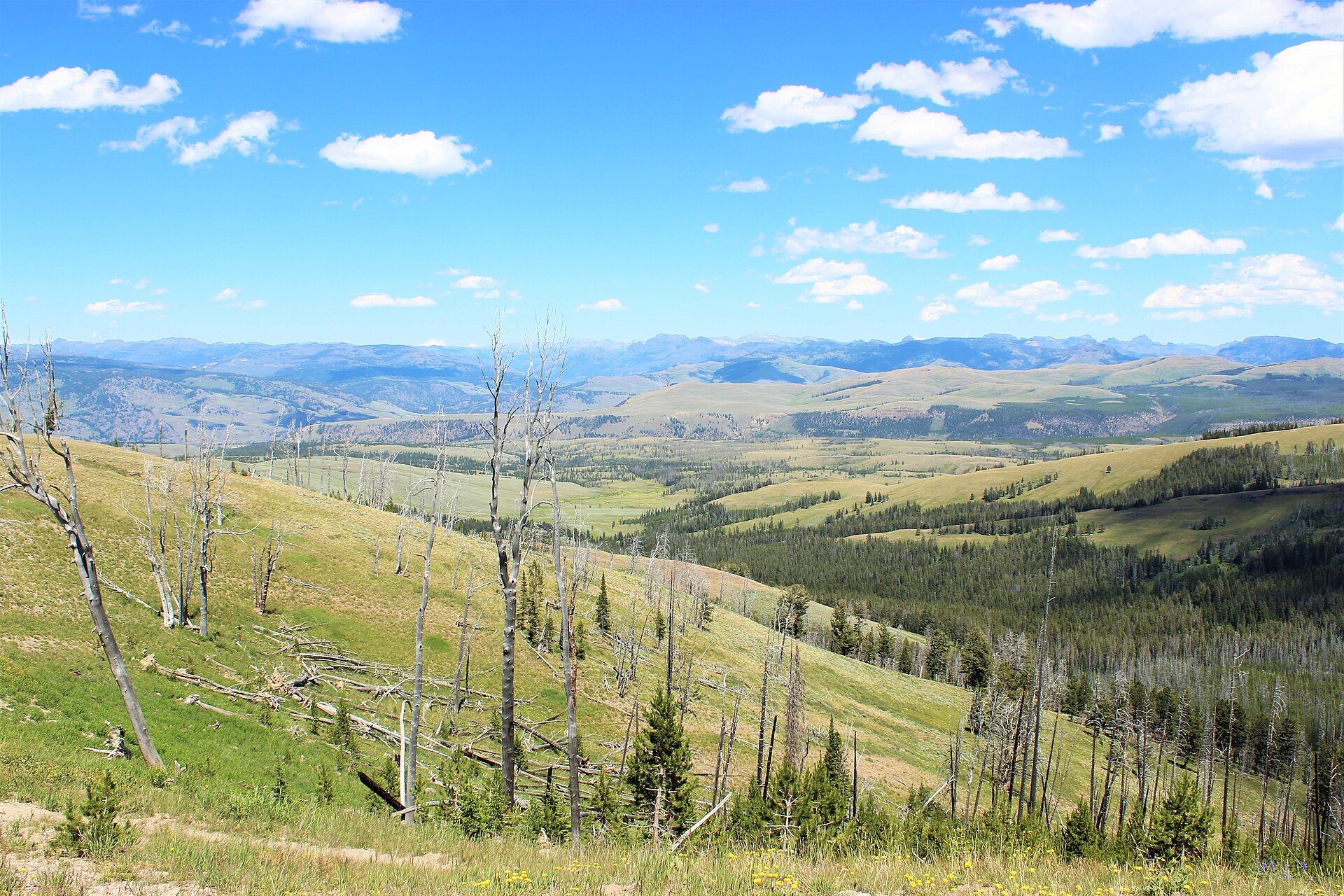 Imagem de referência relacionada a Wyoming, item descrito como estado dos Estados Unidos