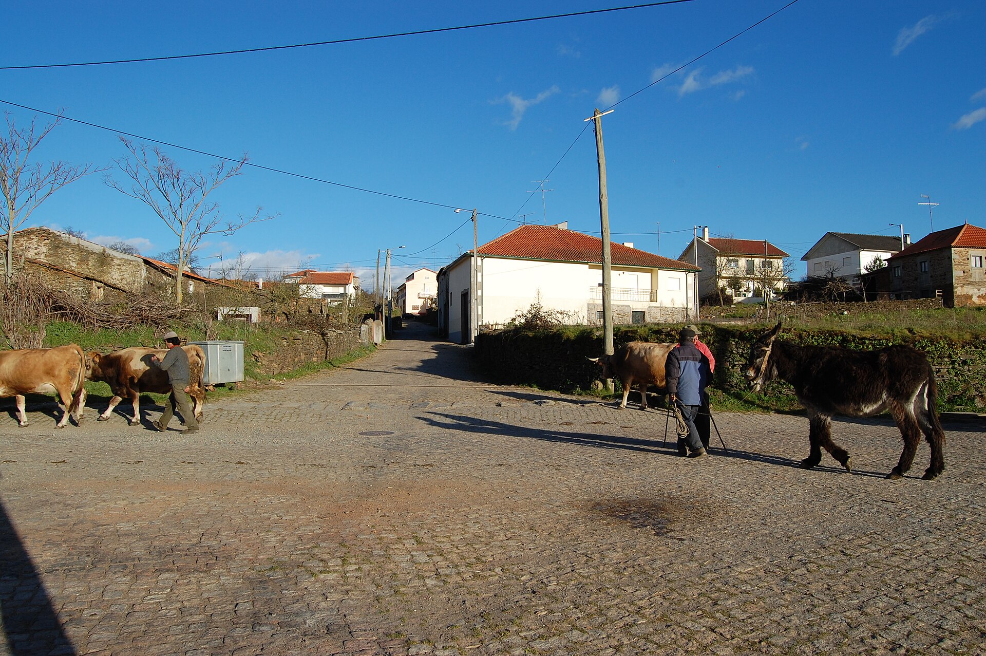 Imagem de referência relacionada a Angueira, item descrito como povoação portuguesa do Município de Vimioso