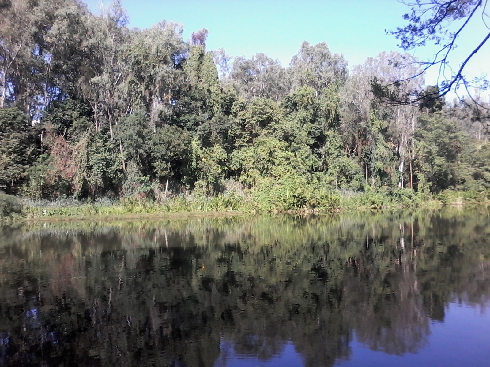 Imagem de referência de Parque Municipal Fazenda Lagoa do Nado, descrito nos dados abertos como parque no município brasileiro de Belo Horizonte