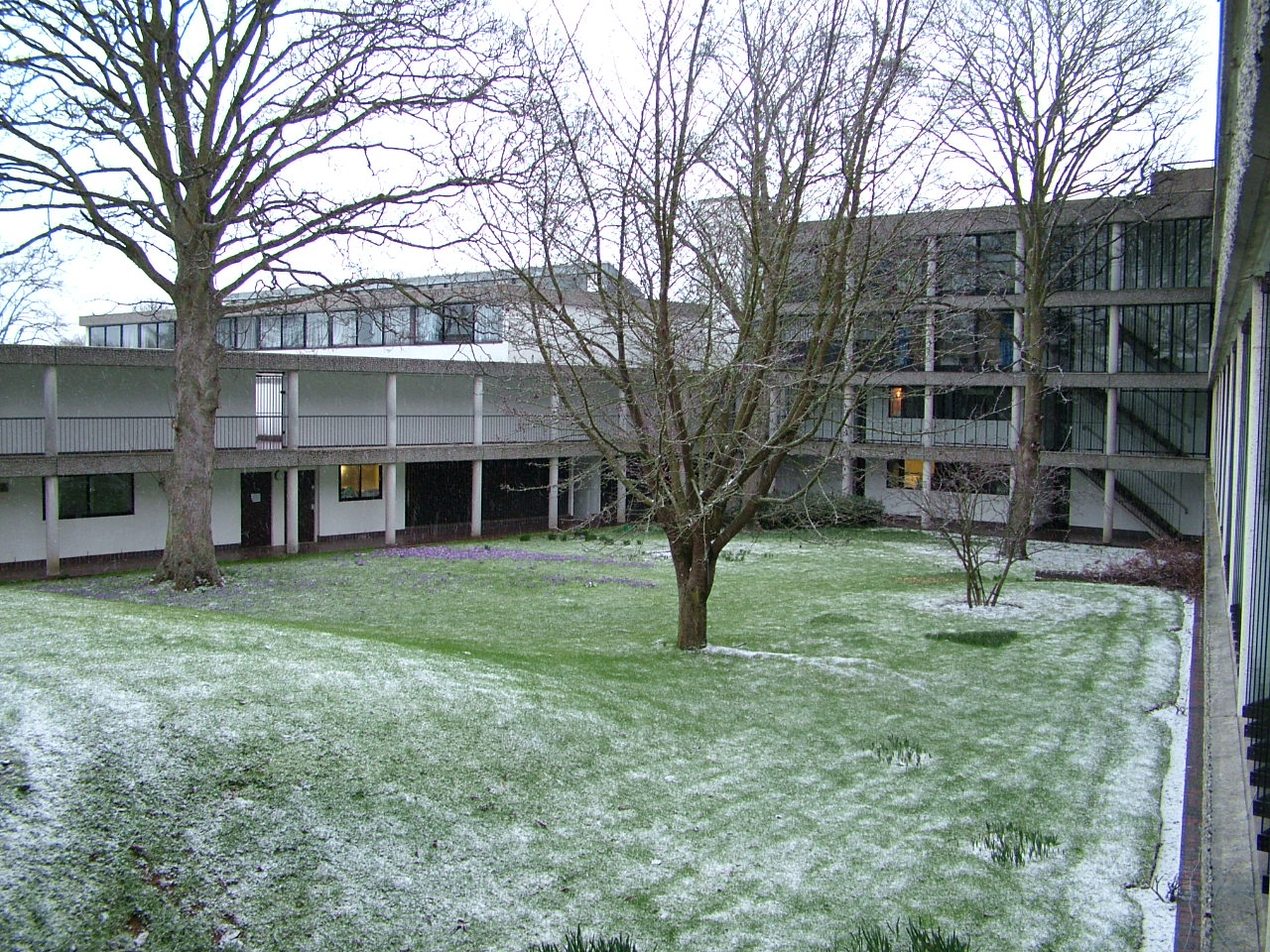 Imagem de referência de Wolfson College (Oxford), descrito nos dados abertos como faculdade na universidade de Oxford