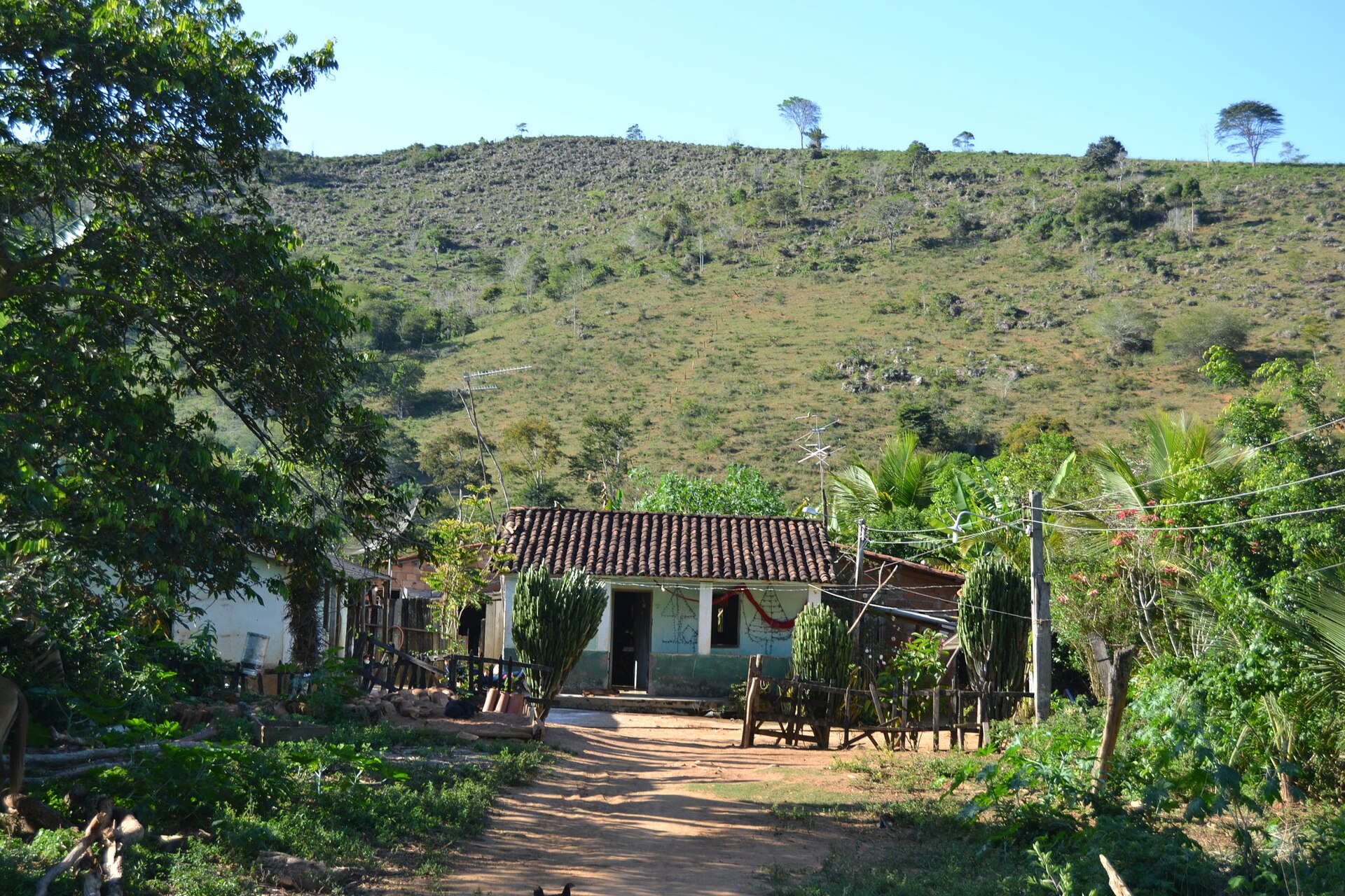 Imagem de referência de Ribeirão do Largo, descrito nos dados abertos como município do Estado da Bahia, Brasil
