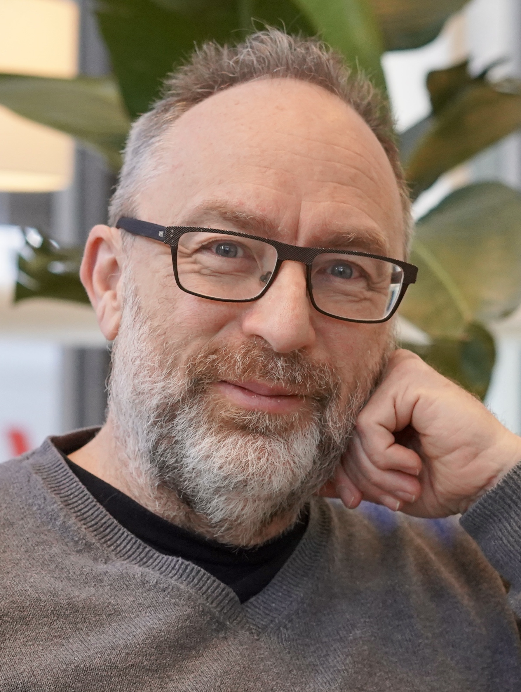 Imagem de referência de Jimmy Wales, descrito nos dados abertos como cofundador estadunidense da Wikipédia