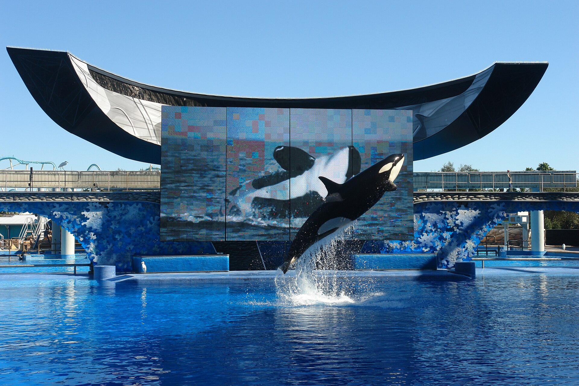 Imagem de referência de SeaWorld, descrito nos dados abertos como rede de parques temáticos de vida marinha dos Estados Unidos