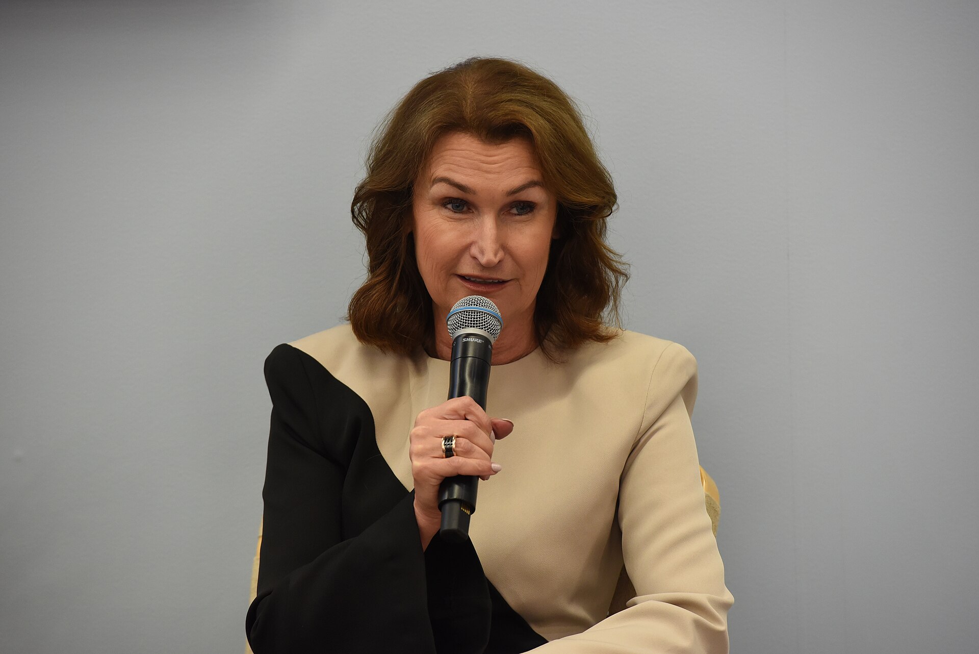 Imagem de referência relacionada a Viveca Sten, item descrito como escritora sueca