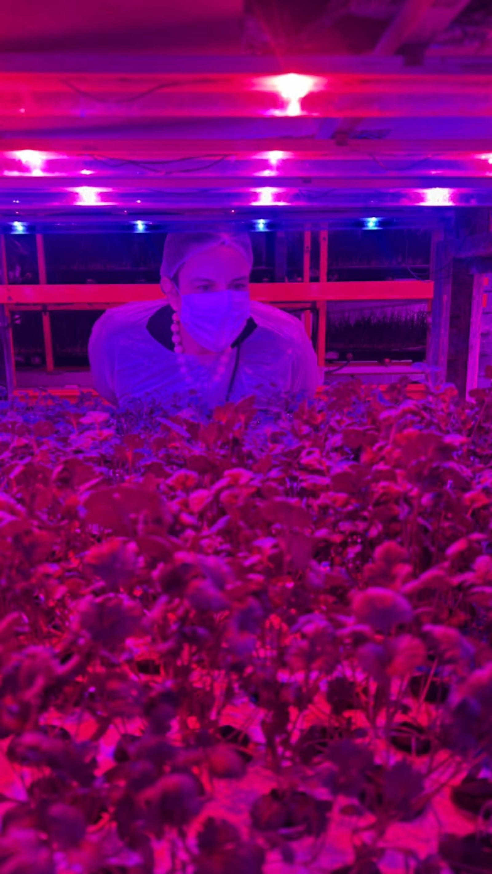 Aline Sordili, Aprendiz de Cozinheira, no galpão cor-de-rosa da Pink Farms