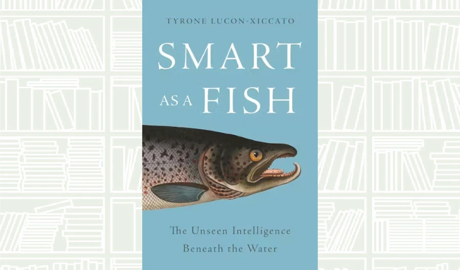 Resenha do Livro: 'Plant Lady', de Minyoung Kang, dá um tom sinistro ao cuidado com plantas.