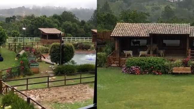 Após polêmica por nudez em comercial de bet, Sidney Sweeney diz não 'entender por que é sempre um alvo', afirma site