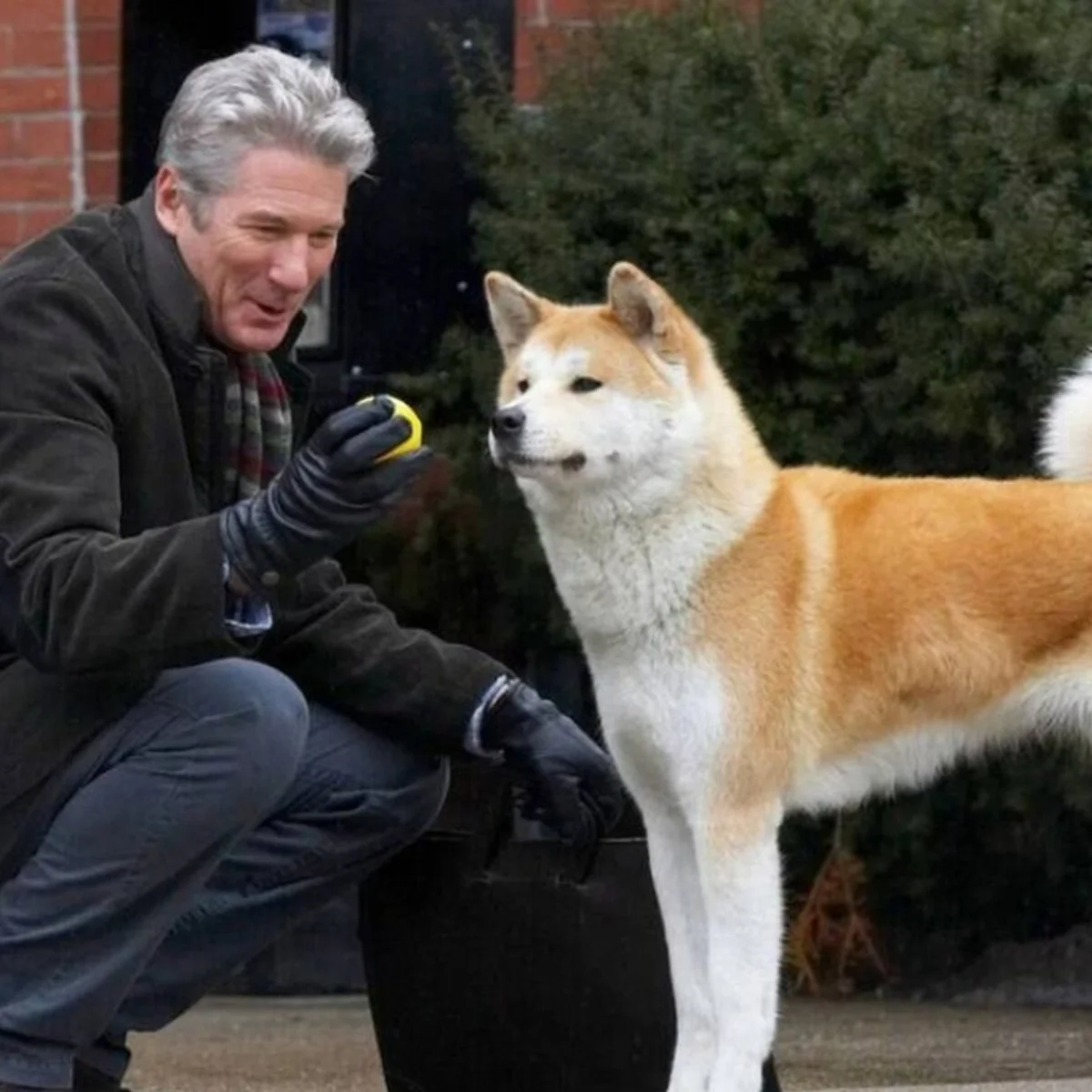Sempre ao Seu Lado: conheça a história real que inspirou o filme