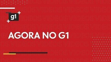 Imagem da matéria: PL terá a maior bancada do Senado, com 28 senadores; veja a divisão por partido
