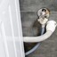 Imagem da matéria: Máquina de lavar transbordando? Veja 5 dicas para solucionar o problema